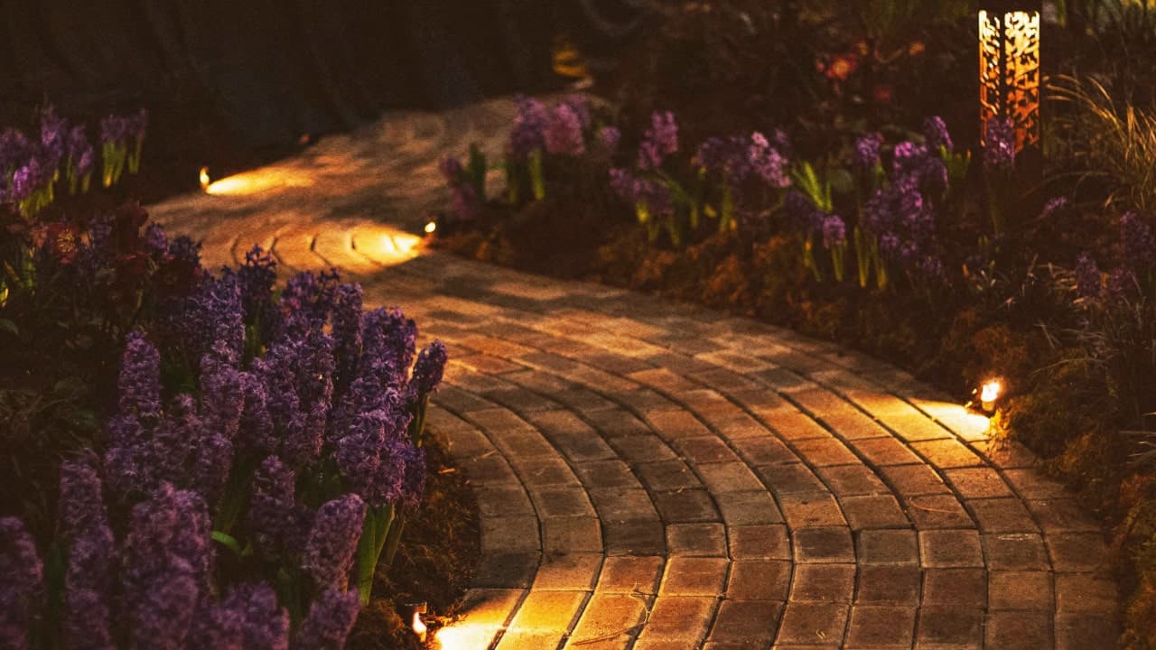 Accès & cheminement