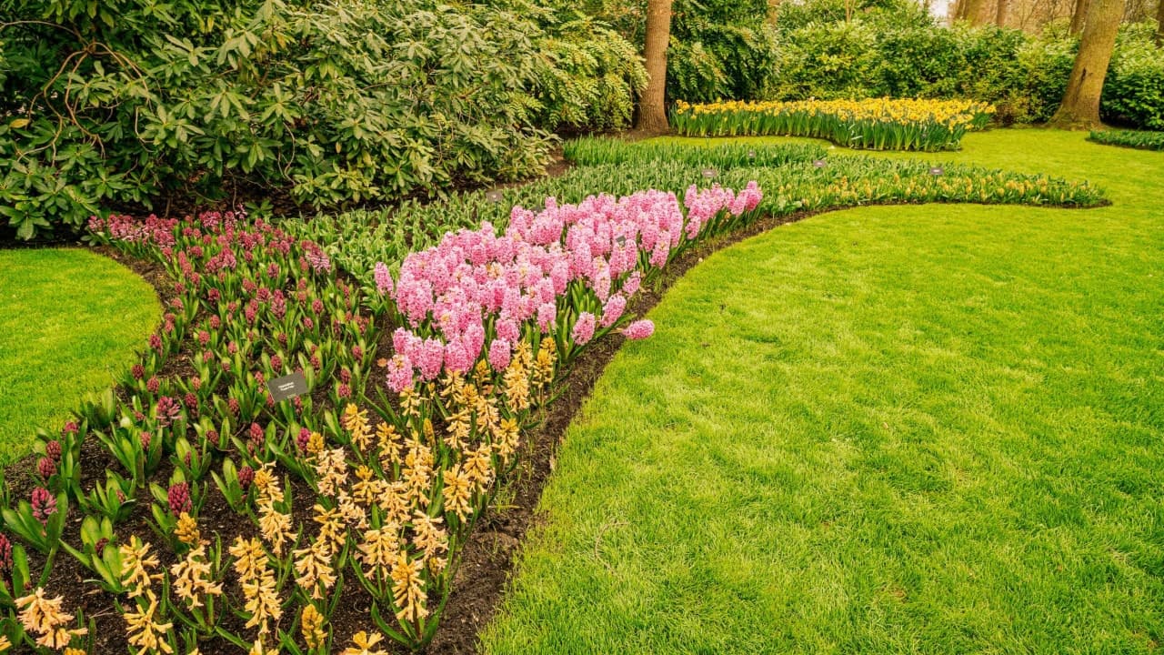 Aménagements paysagers