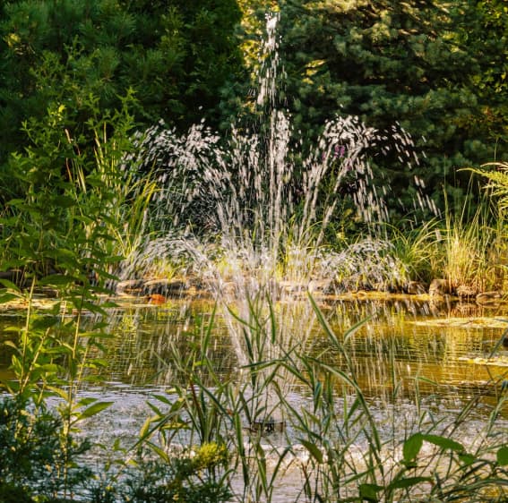 Jeux d’eau