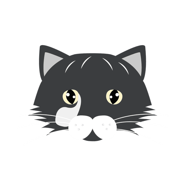 Tom le chat