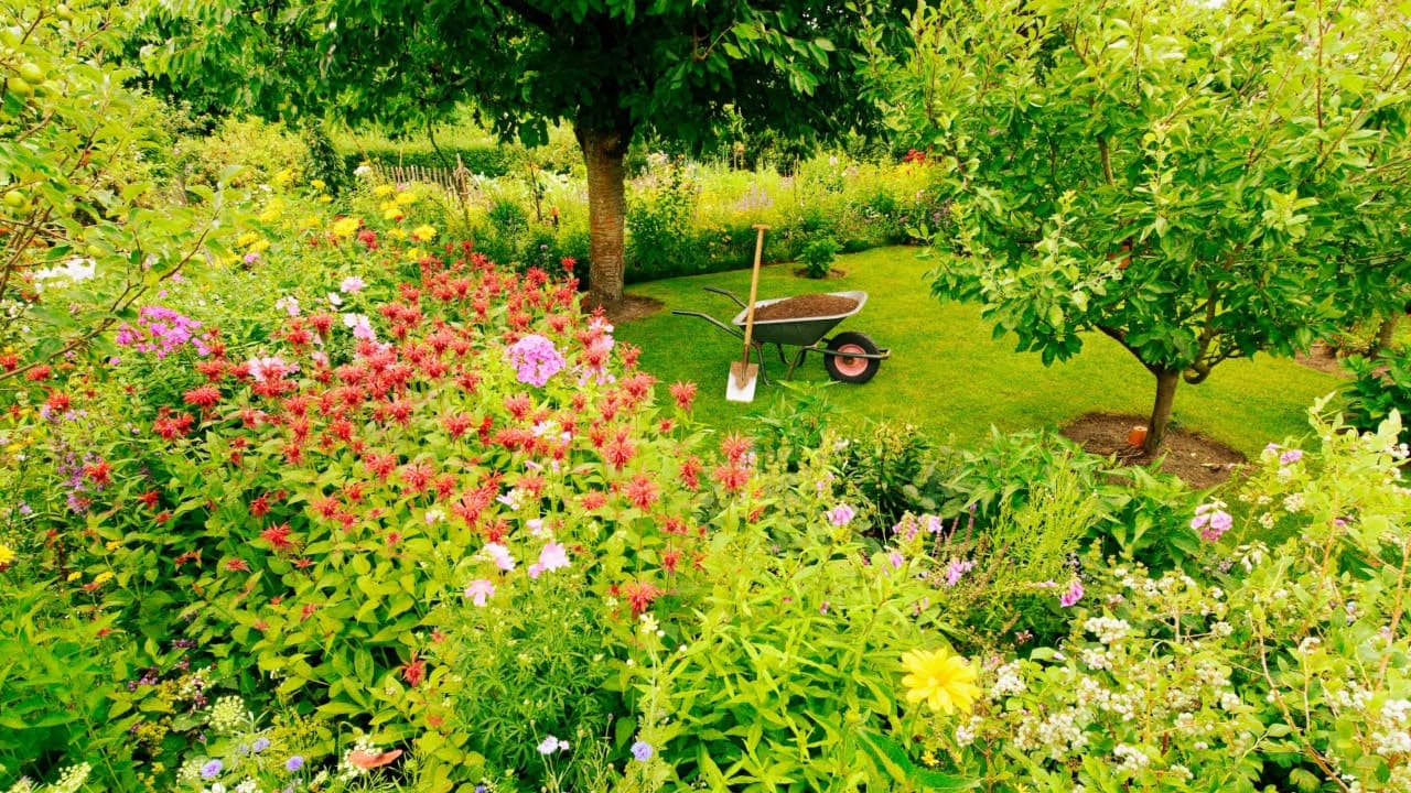 Entretien des massifs